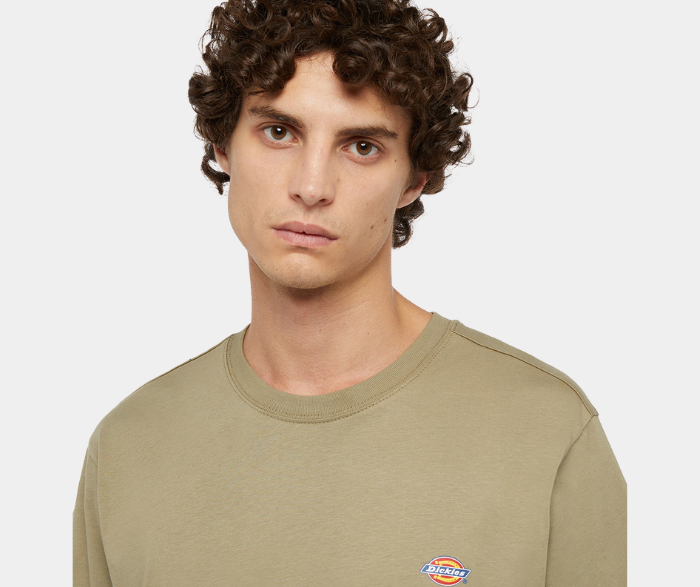 DICKIES T SHIRT MAPLETON