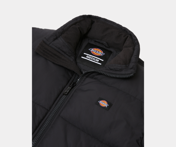 DICKIES JACKET WALDENBURG