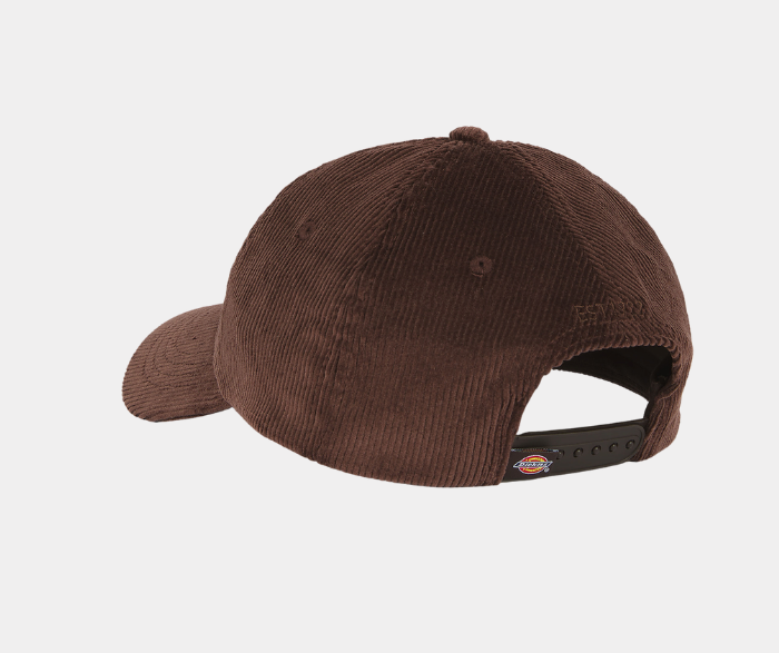 DICKIES VISIERA HARDWICK CAP