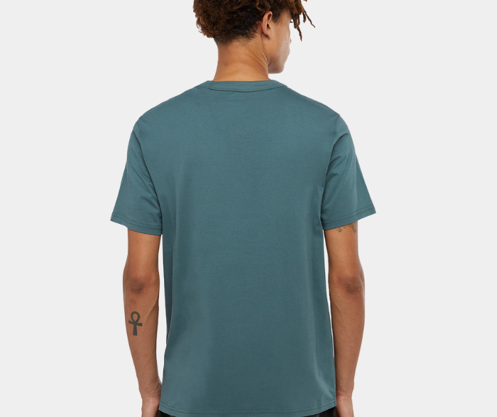 DICKIES T-SHIRT AITKIN CHEST