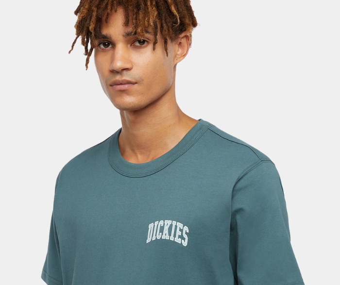 DICKIES T-SHIRT AITKIN CHEST