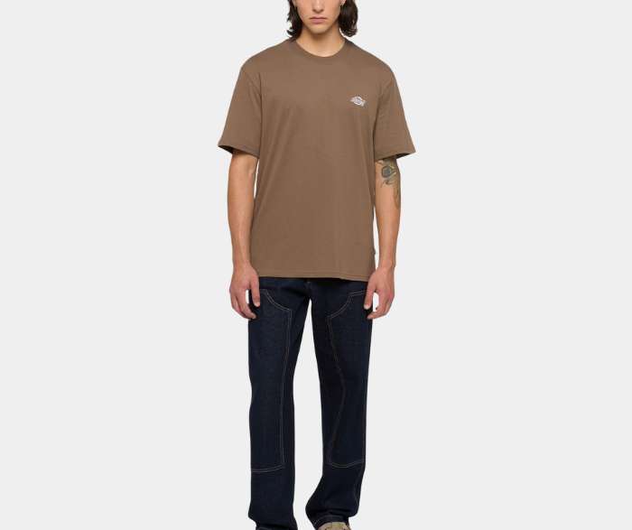 DICKIES T-SHIRT SUMMERDALE