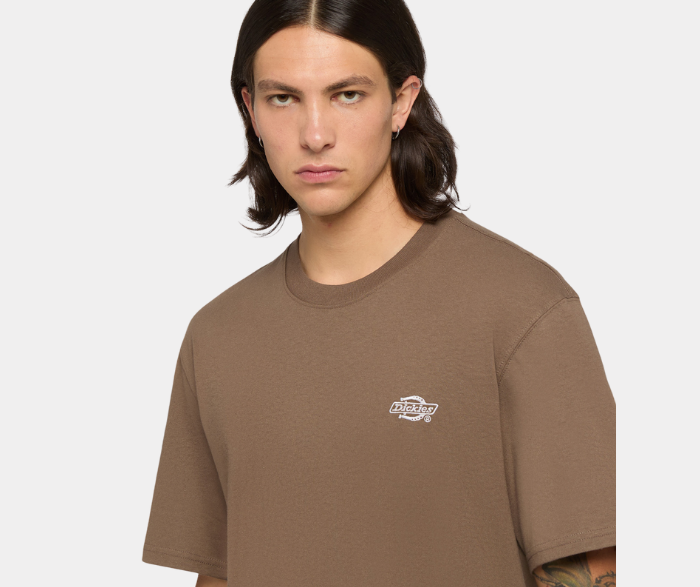 DICKIES T-SHIRT SUMMERDALE