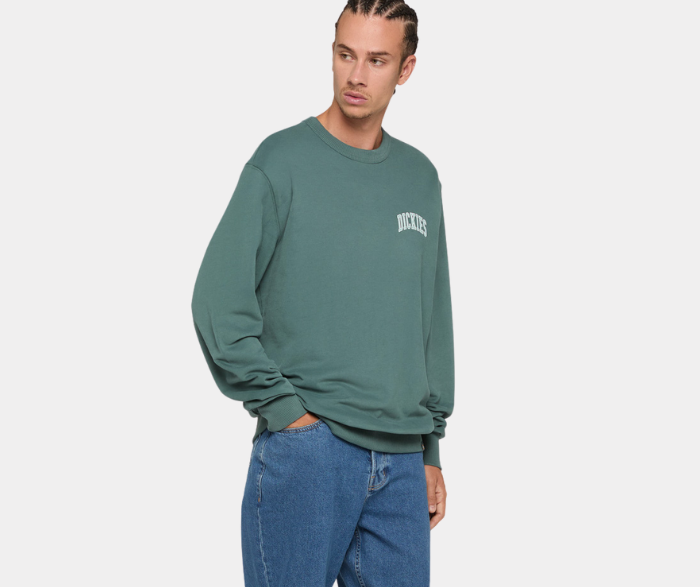 DICKIES FELPA AITKIN CHEST