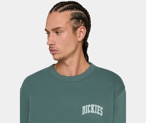 DICKIES FELPA AITKIN CHEST